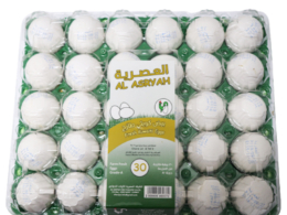 Fresh Kuwaiti eggs in a plastic plate, 30 pieces