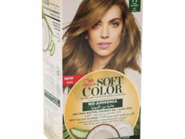 Soft Color Kit 71 Ash Blonde