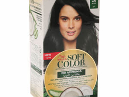 Wella natural hair dye 20 black