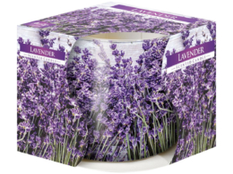 Lavender Aurora decorated scented candle 100g
