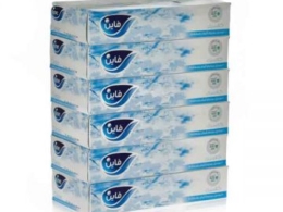 Fine Facial Tissue 6X100