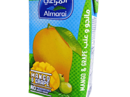 100% natural long-life mango juice 235 ml